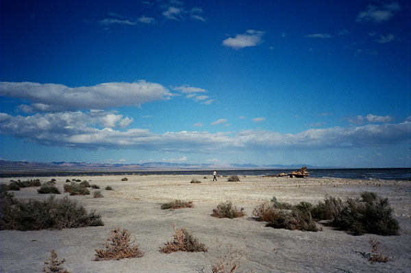 https://guernicamag.com/wp-content/uploads/2012/10/saltonsea221.jpg