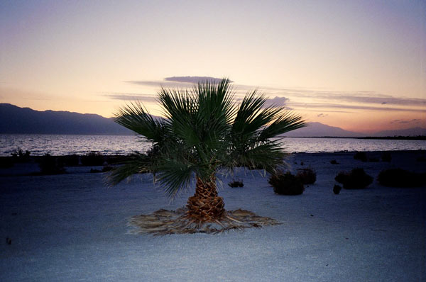 https://guernicamag.com/wp-content/uploads/2012/10/saltonsea31.jpg