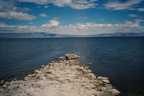 https://guernicamag.com/wp-content/uploads/2012/10/saltonsea61.jpg