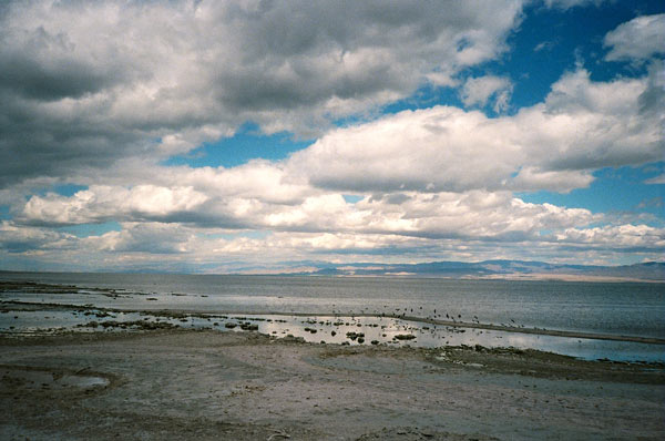 https://guernicamag.com/wp-content/uploads/2012/10/saltonsea71.jpg