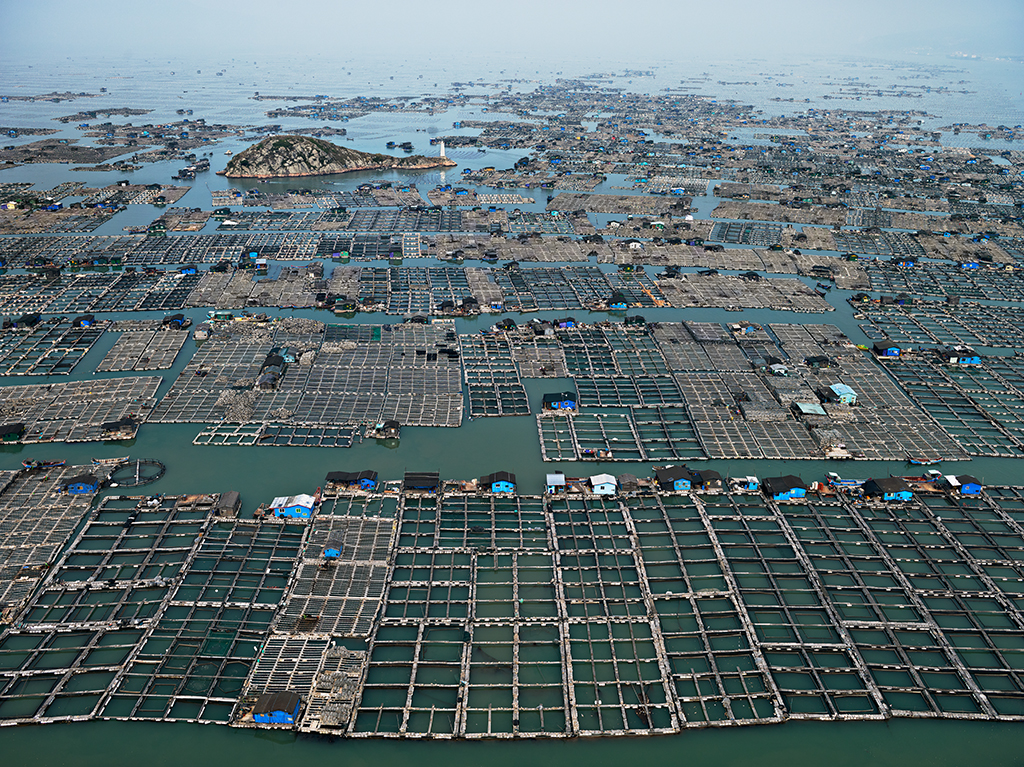 Marine Aquaculture #1, Luoyuan Bay, Fujian Province, China 2012