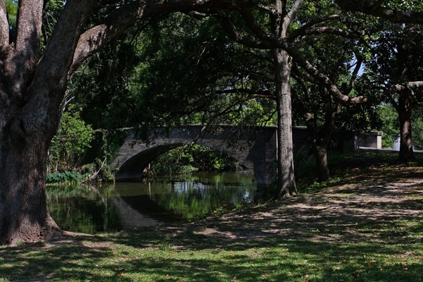 https://guernicamag.com/wp-content/uploads/2014/03/600_Audubon_Park_Image_from_Flickr_via_Hillarie.jpg