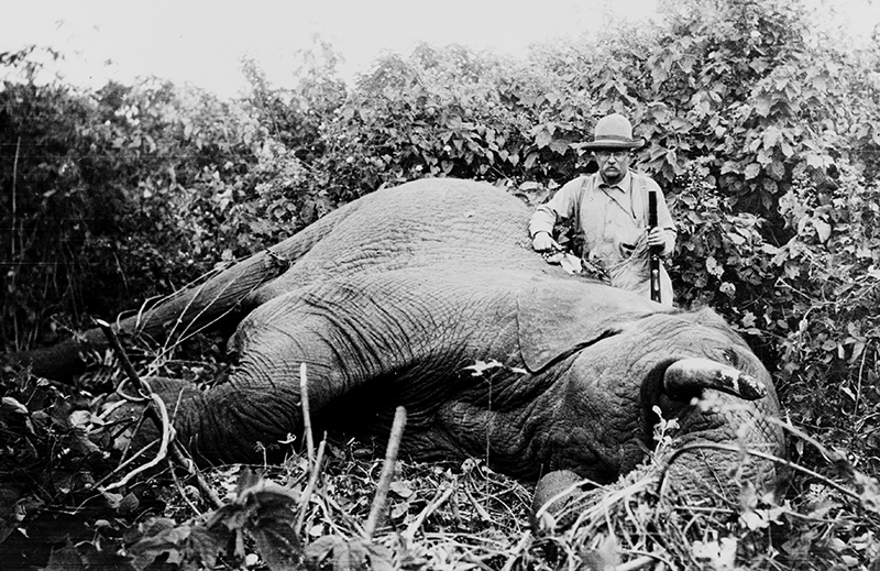 https://guernicamag.com/wp-content/uploads/2014/09/Roosevelt_safari_elephant-Van-Altena-Edward.jpg