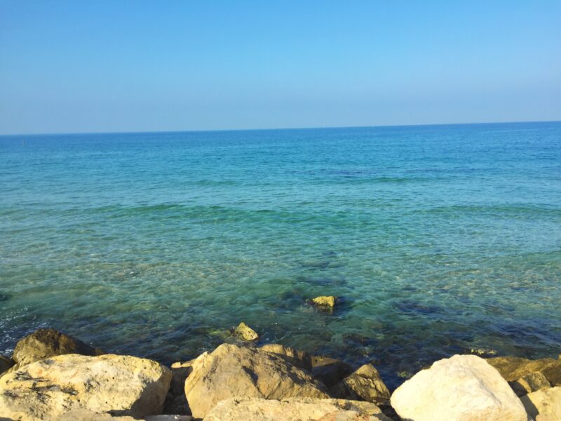 The sea in Palestine