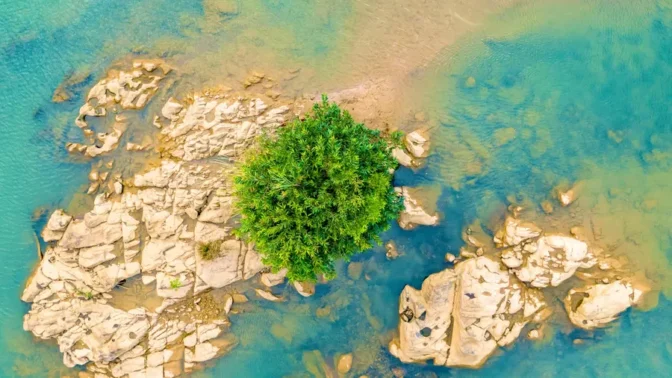 We planted a river